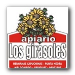 Click para ampliar