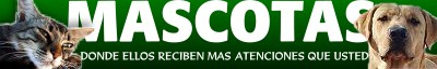 perros y gatos, labrador, doberman, ovejeros, beagle, gran danes, pekines, foxter, dogo, boxer, mastin