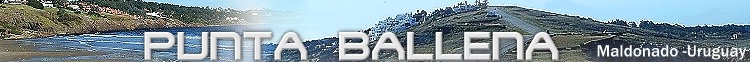 punta ballena